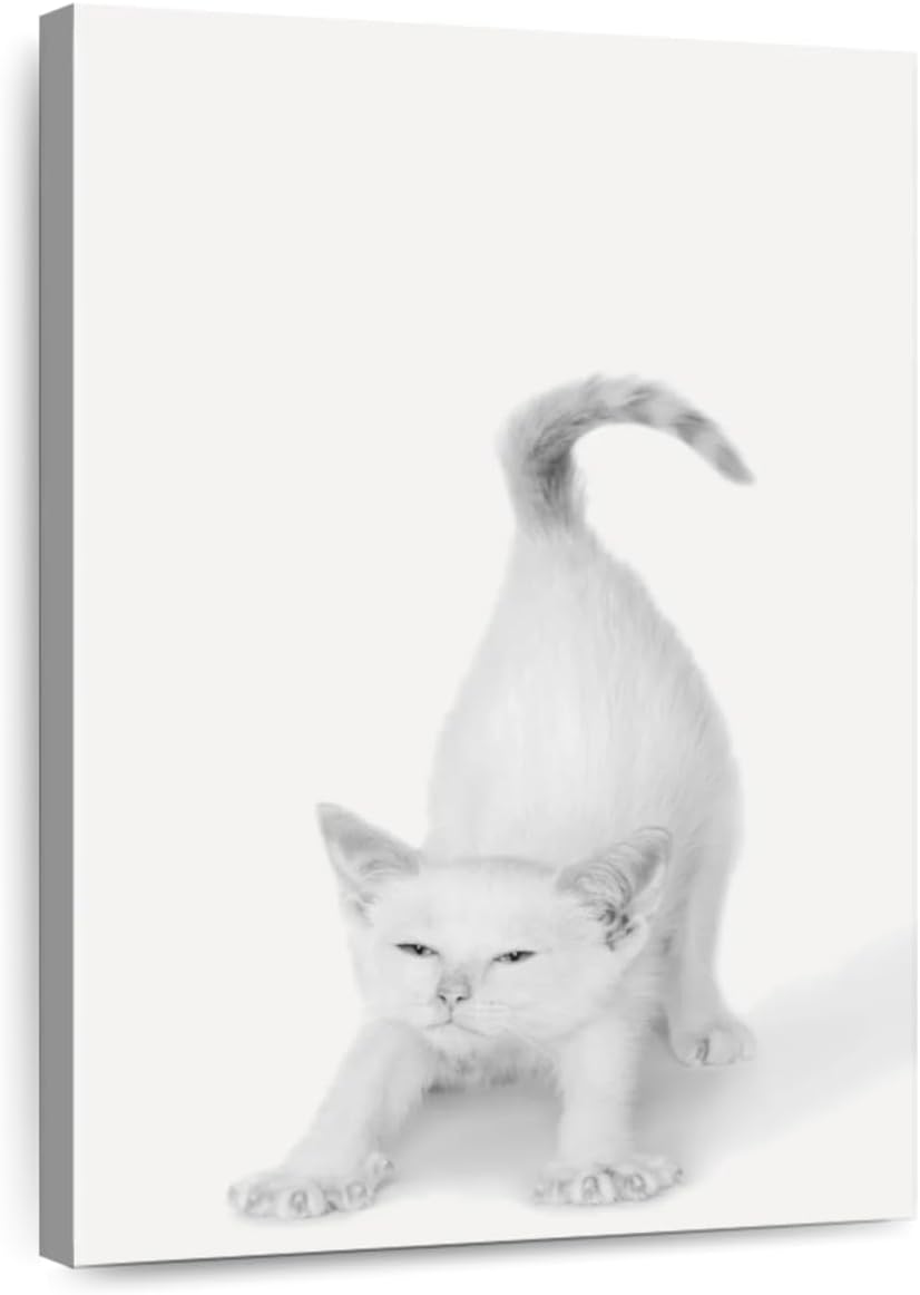 ElephantStock - Bonjour Kitty Wall Art - Vertical Canvas Wall Art - Living Room Wall Decor - Photography Cat Canvas Art - White And Gray Decor by Jon Bertelli - 26' x 39'