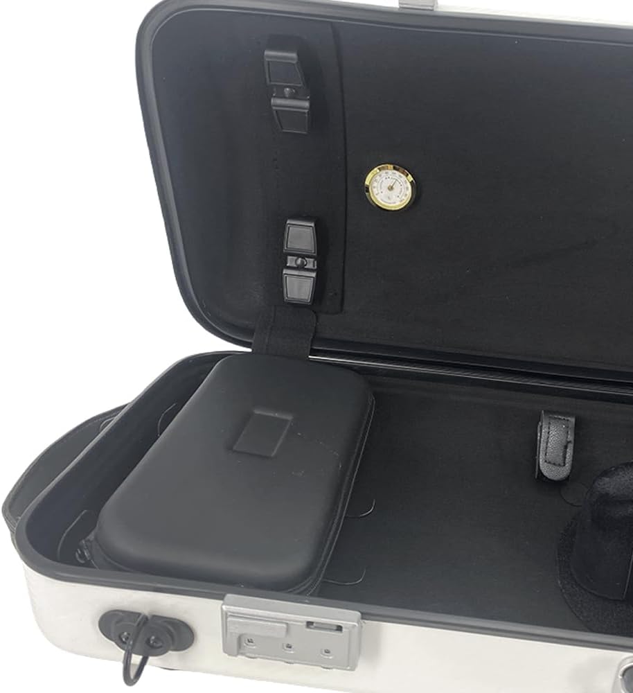 Violin case 4/4 Full size High strength Carbon fiber hard shell Durable handles Internal storage with Backpack straps Music Sheet bag (White with Code lock)