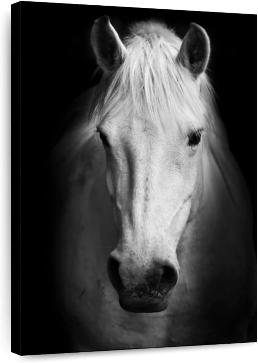 ElephantStock - White Thoroughbred Horse Wall Art - Vertical Canvas Wall Art - Living Room Wall Decor - Photography Animal Canvas Art - Black And White Decor - 26' x 39'