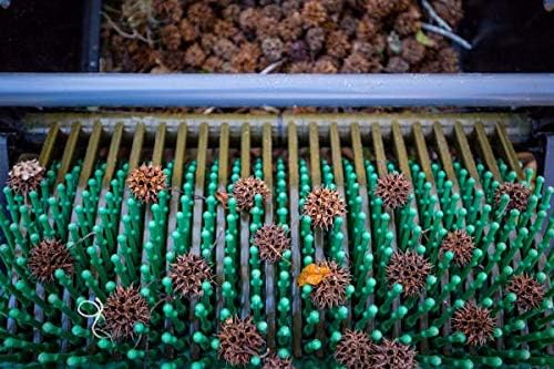 Bag-A-Nut Sweet Gum Ball Picker-Upper – Lawn Collector for Sweet Gum Ball Removal (12' Push)