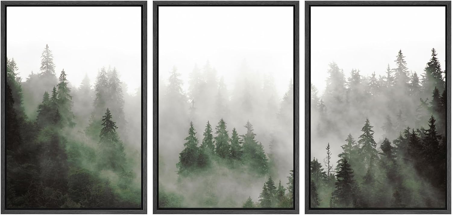 SIGNWIN Framed Canvas Print Wall Art Woodland Nursery Decor Set Fog & Mist Over Green Pine Tree Forest Nature Wilderness Modern Art Chic Landscape for Living Room, Bedroom, Office - 16'x24'x3 Black