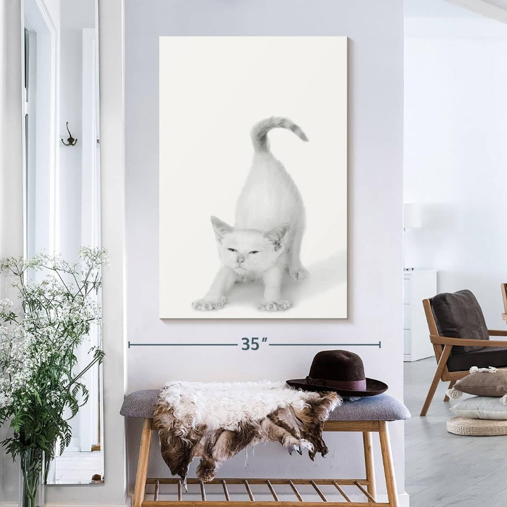 ElephantStock - Bonjour Kitty Wall Art - Vertical Canvas Wall Art - Living Room Wall Decor - Photography Cat Canvas Art - White And Gray Decor by Jon Bertelli - 26' x 39'