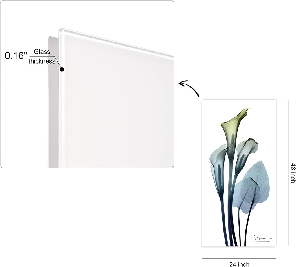 Empire Art Direct Calia Lily Frameless Free Floating Reverse Printed Tempered Glass Wall Art, X-ray Flower Wall Decor, Rectangular, Ready to Hang, Living Room, Bedroom, Kitchen, Gallery, 24' x 48'