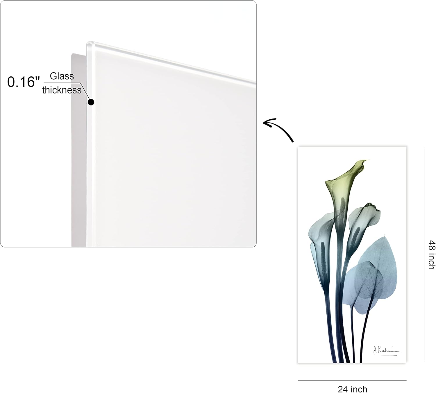 Empire Art Direct Calia Lily Frameless Free Floating Reverse Printed Tempered Glass Wall Art, X-ray Flower Wall Decor, Rectangular, Ready to Hang, Living Room, Bedroom, Kitchen, Gallery, 24' x 48'