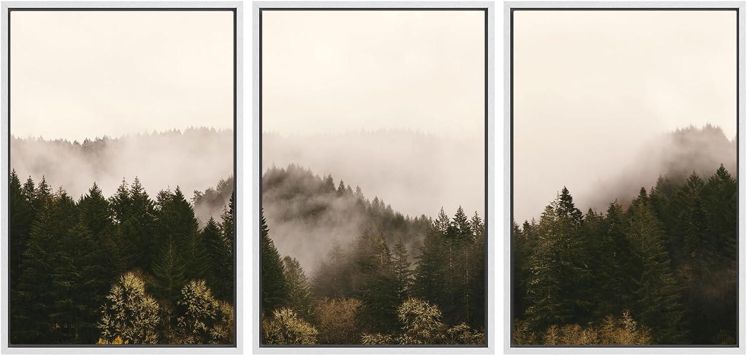 SIGNWIN 3 Piece Framed Canvas Wall Art Brown Foggy Mountains Nature Wilderness Photography Abstract Rustic Canvas Prints Home Artwork Decoration for Living Room,Bedroom - 24'x36'x3 White