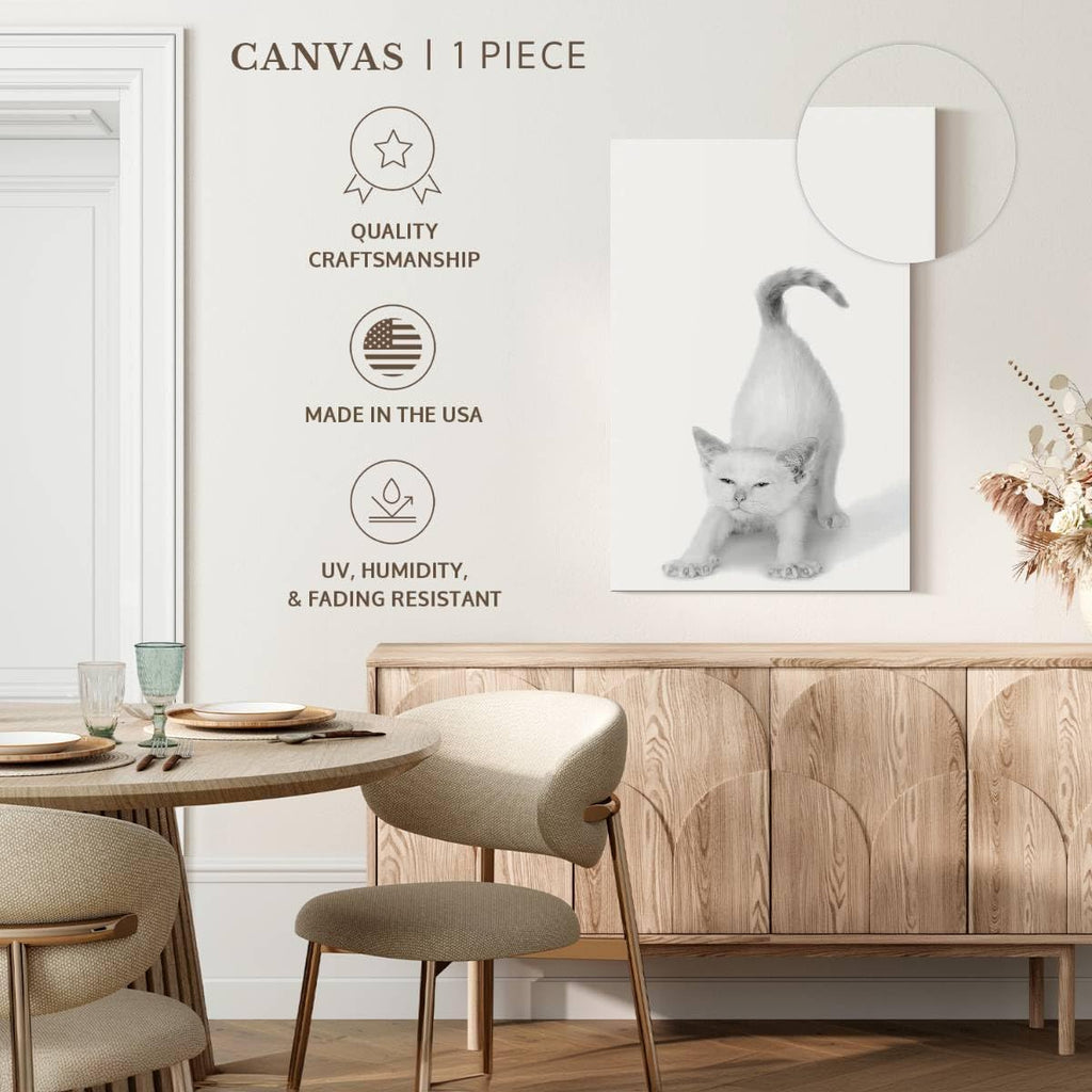 ElephantStock - Bonjour Kitty Wall Art - Vertical Canvas Wall Art - Living Room Wall Decor - Photography Cat Canvas Art - White And Gray Decor by Jon Bertelli - 26' x 39'