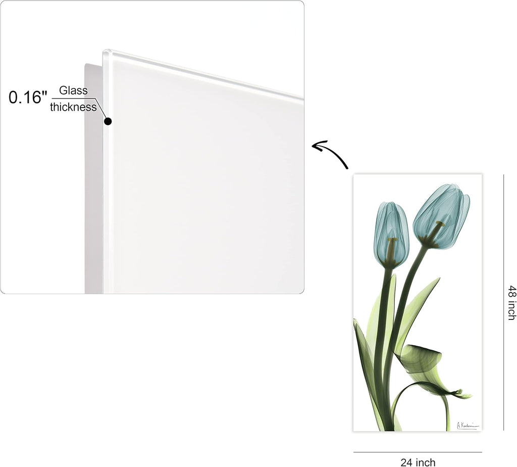 Empire Art Direct Blue Tulips Frameless Reverse Printed Tempered Glass Wall Art, X-ray Flower Wall Decor, Rectangular, Ready to Hang, Living Room, Bedroom, Home Office, 24' x 48' x 0.2'