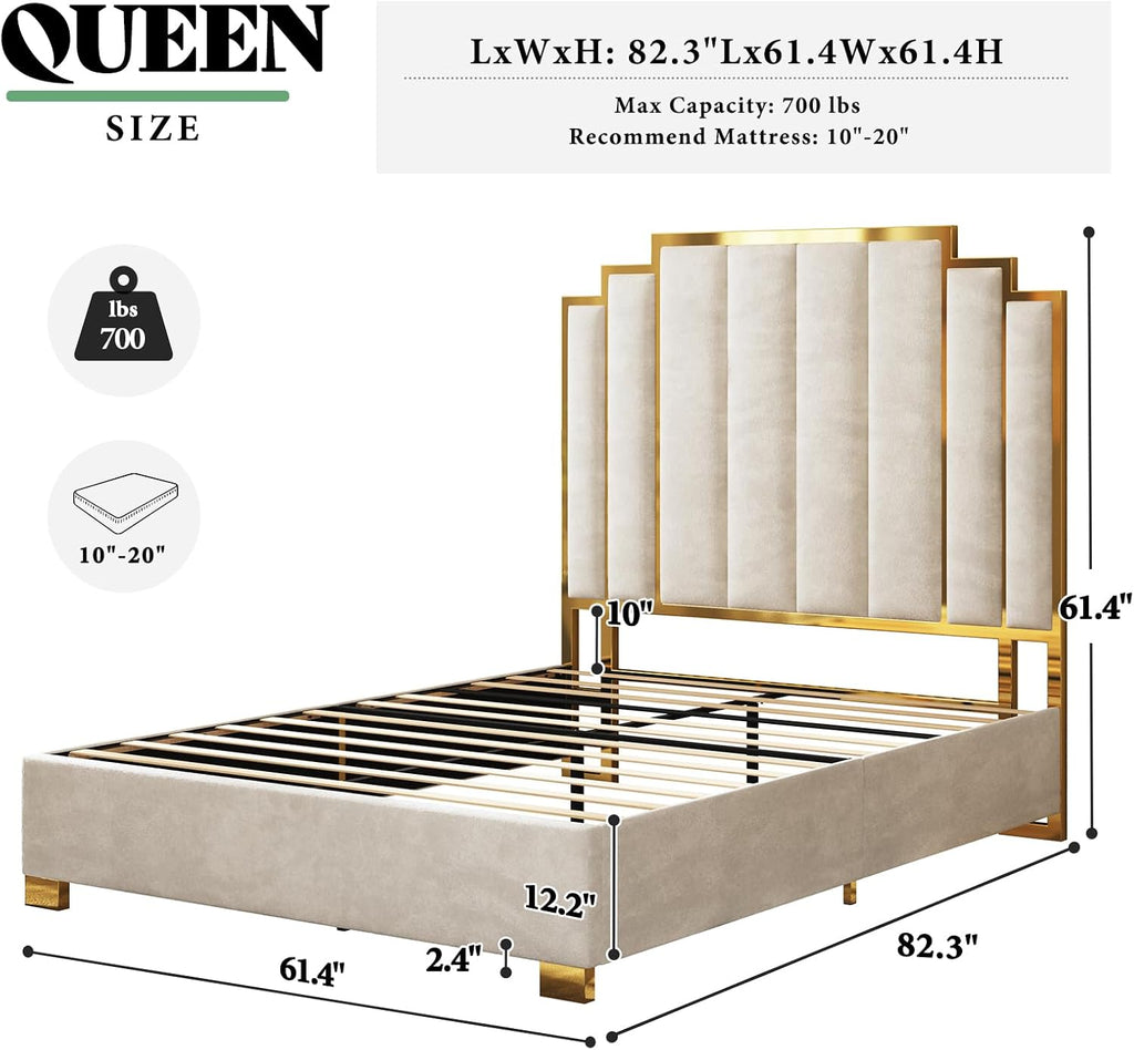 AMERLIFE Queen Size Upholstered Bed, Modern Velvet Bed Frame with 61.4' Tall Gold Trim Headboard, No Box Spring Needed, Cream