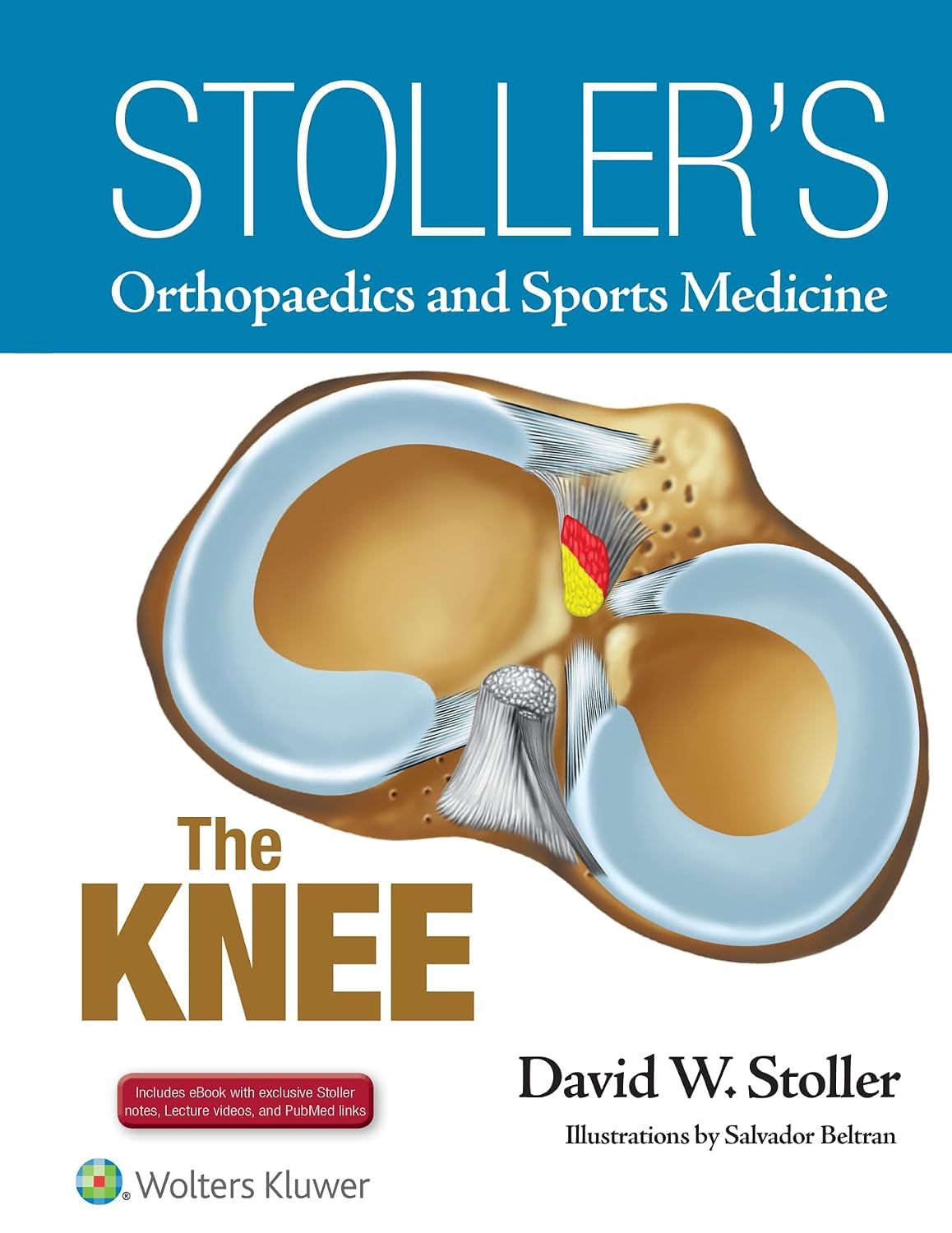 Stoller's Orthopaedics and Sports Medicine: The Knee: Includes Stoller Lecture Videos and Stoller Notes