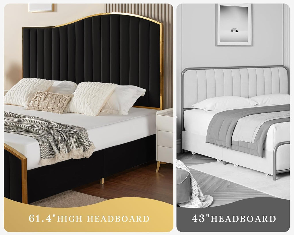 AMERLIFE Queen Size Bed Frame with 61.4' Tall Headboard, Velvet Upholstered Platform Bed with Gold Trim & Footboard, Wooden Slat Support, No Box Spring Needed, Black