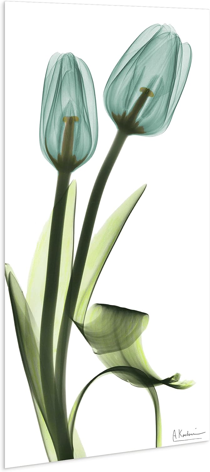 Empire Art Direct Blue Tulips Frameless Reverse Printed Tempered Glass Wall Art, X-ray Flower Wall Decor, Rectangular, Ready to Hang, Living Room, Bedroom, Home Office, 24' x 48' x 0.2'