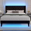 Lihimte Queen Size Bed Frame with Led Lights, Upholstered Velvet Platform Bed Frames with Button Tufted Wingback Headboard and Footboard, Wooden Slats Support, No Box Spring Needed, Black