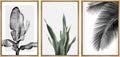 SIGNWIN Framed Canvas Print Wall Art Trio of Jungle Palms & Snake Succulents Floral Plants Photography Modern Art Minimalist Black and White for Living Room, Bedroom, Office - 24'x36'x3 Natural