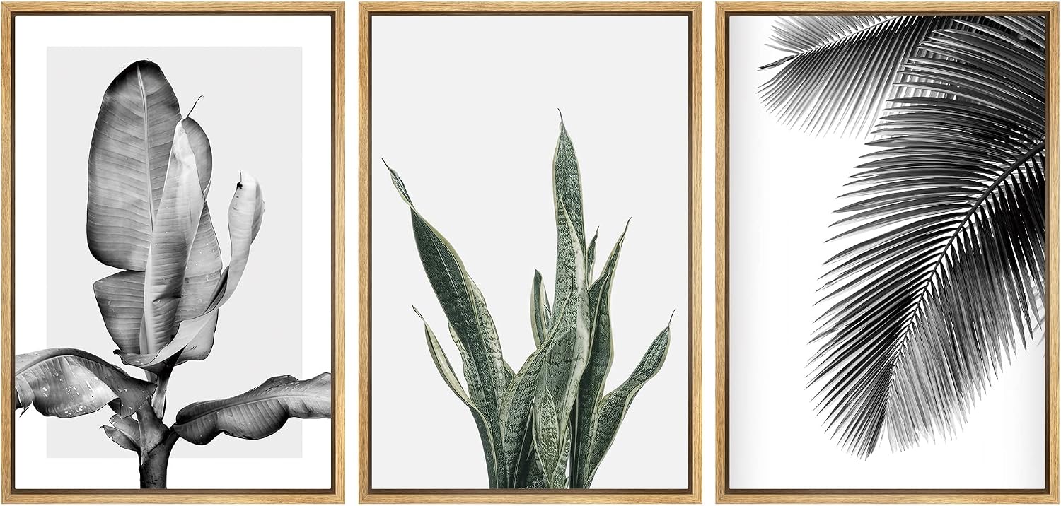 SIGNWIN Framed Canvas Print Wall Art Trio of Jungle Palms & Snake Succulents Floral Plants Photography Modern Art Minimalist Black and White for Living Room, Bedroom, Office - 24'x36'x3 Natural