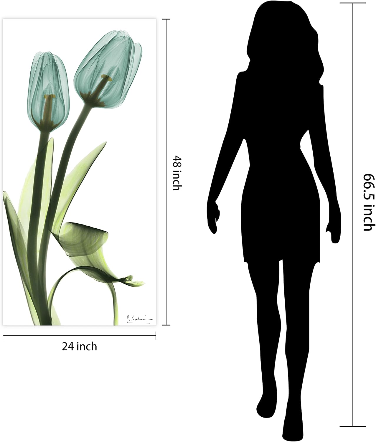 Empire Art Direct Blue Tulips Frameless Reverse Printed Tempered Glass Wall Art, X-ray Flower Wall Decor, Rectangular, Ready to Hang, Living Room, Bedroom, Home Office, 24' x 48' x 0.2'