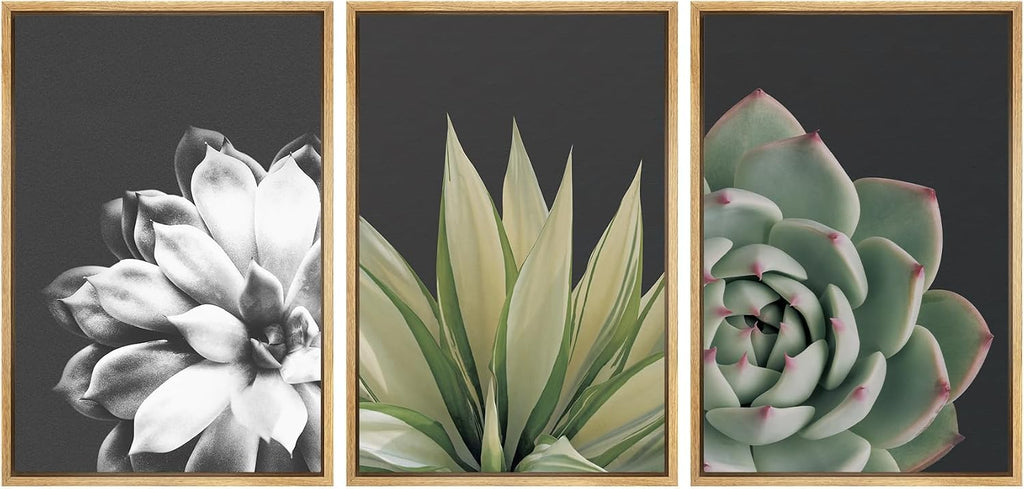 SIGNWIN Framed Wall Art Print Set Echeveria Succulent Variety Nature Plants Photography Modern Art Closeup Relax/Calm Dark Black and White for Living Room, Bedroom, Office - 24'x36'x3 Natural