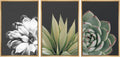 SIGNWIN Framed Wall Art Print Set Echeveria Succulent Variety Nature Plants Photography Modern Art Closeup Relax/Calm Dark Black and White for Living Room, Bedroom, Office - 24'x36'x3 Natural