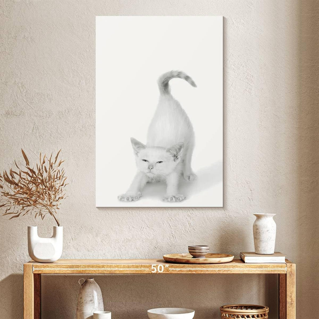 ElephantStock - Bonjour Kitty Wall Art - Vertical Canvas Wall Art - Living Room Wall Decor - Photography Cat Canvas Art - White And Gray Decor by Jon Bertelli - 26' x 39'
