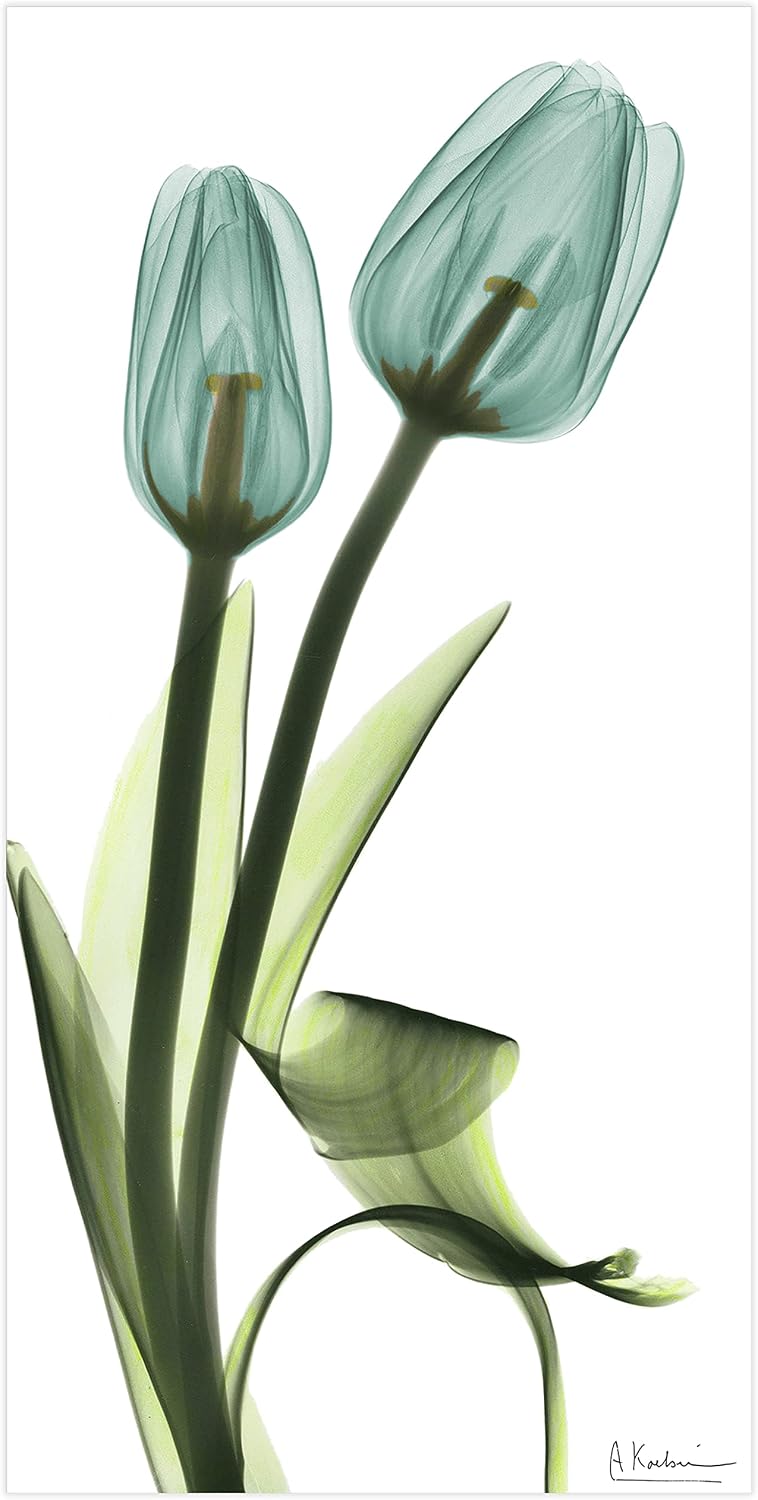 Empire Art Direct Blue Tulips Frameless Reverse Printed Tempered Glass Wall Art, X-ray Flower Wall Decor, Rectangular, Ready to Hang, Living Room, Bedroom, Home Office, 24' x 48' x 0.2'