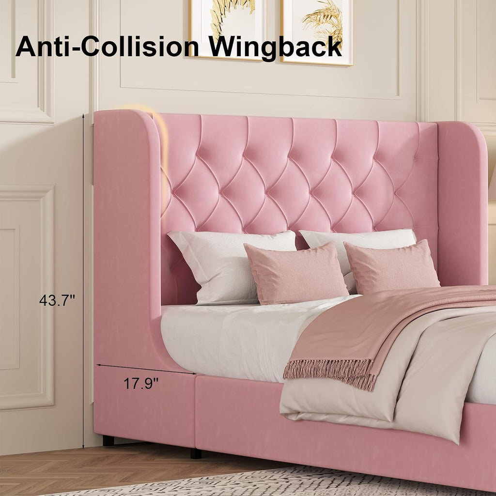 HOMBCK Pink Queen Bed Frame, Upholstered Platform Bed Frame with Velvet Tufted Headboard, Curved Wingback Design, Wooden Slats, No Box Spring, Noise Free, Easy Assembly
