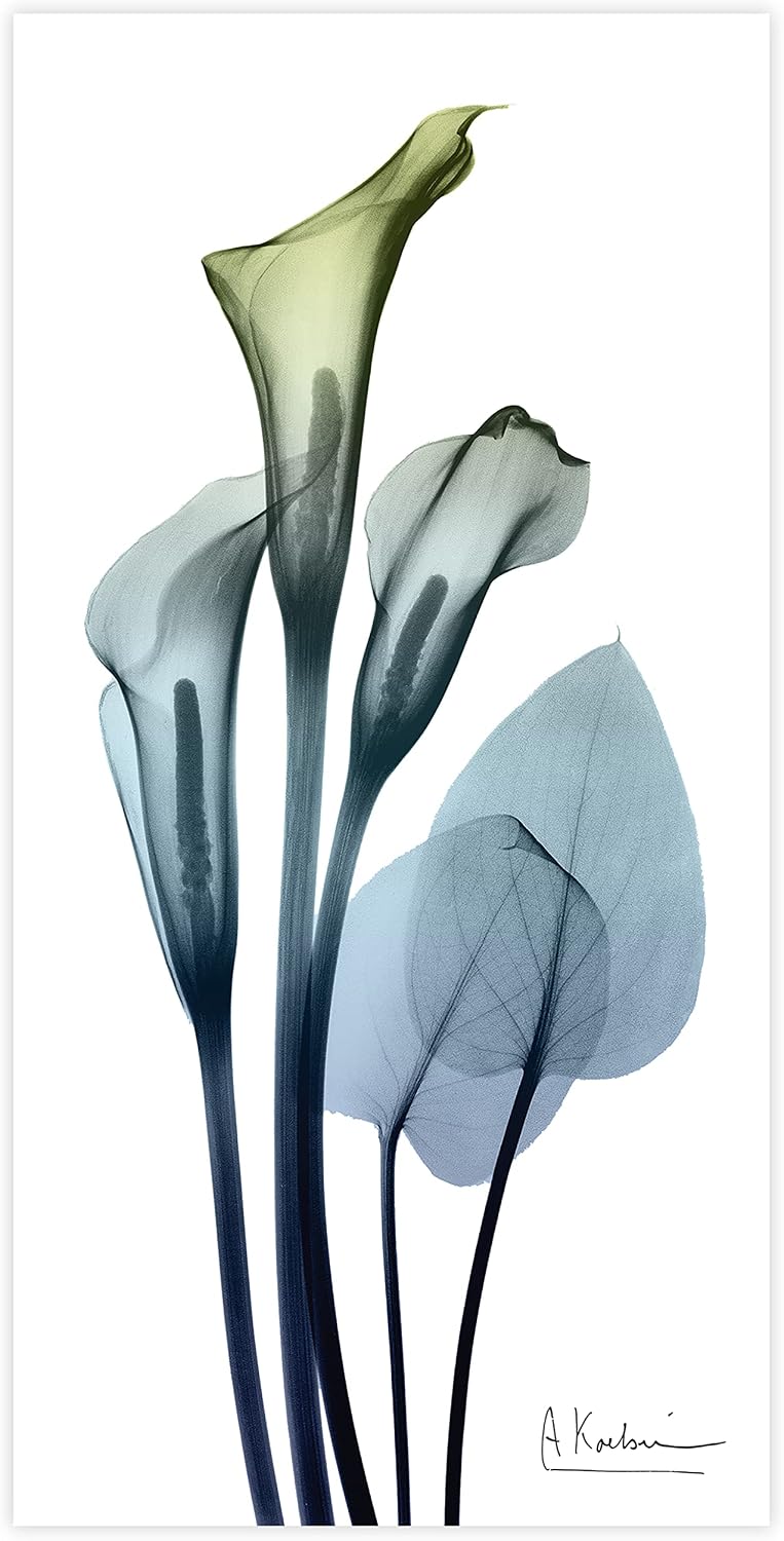 Empire Art Direct Calia Lily Frameless Free Floating Reverse Printed Tempered Glass Wall Art, X-ray Flower Wall Decor, Rectangular, Ready to Hang, Living Room, Bedroom, Kitchen, Gallery, 24' x 48'