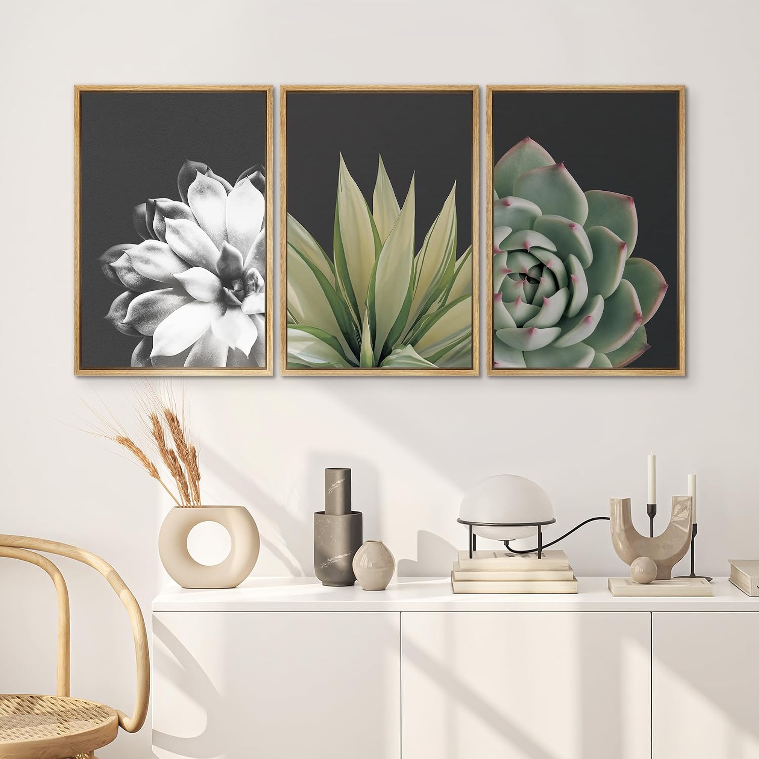 SIGNWIN Framed Wall Art Print Set Echeveria Succulent Variety Nature Plants Photography Modern Art Closeup Relax/Calm Dark Black and White for Living Room, Bedroom, Office - 24'x36'x3 Natural