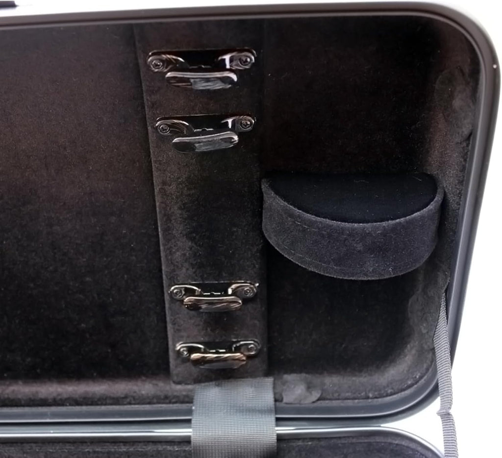 Violin case 4/4 Full size High strength Carbon fiber hard shell Durable handles Internal storage with Backpack straps Music Sheet bag (Rose with Lock)