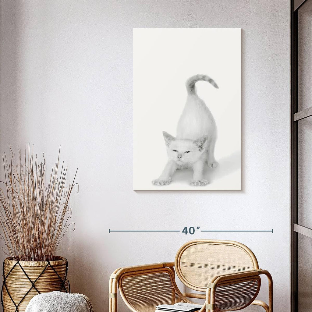 ElephantStock - Bonjour Kitty Wall Art - Vertical Canvas Wall Art - Living Room Wall Decor - Photography Cat Canvas Art - White And Gray Decor by Jon Bertelli - 26' x 39'