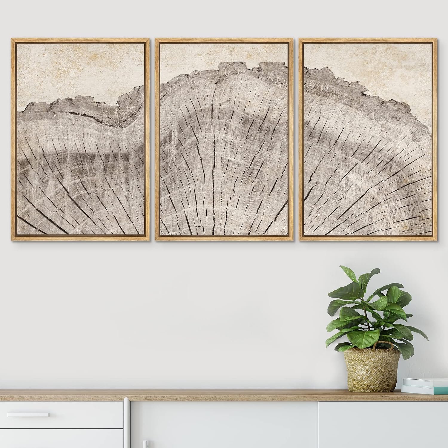 SIGNWIN Framed Canvas Print Wall Art Set Retro Close Up Oak Wood Tree Rings Nature Wilderness Illustrations Modern Art Decorative Farmhouse Zen for Living Room, Bedroom, Office - 24'x36'x3 Natural