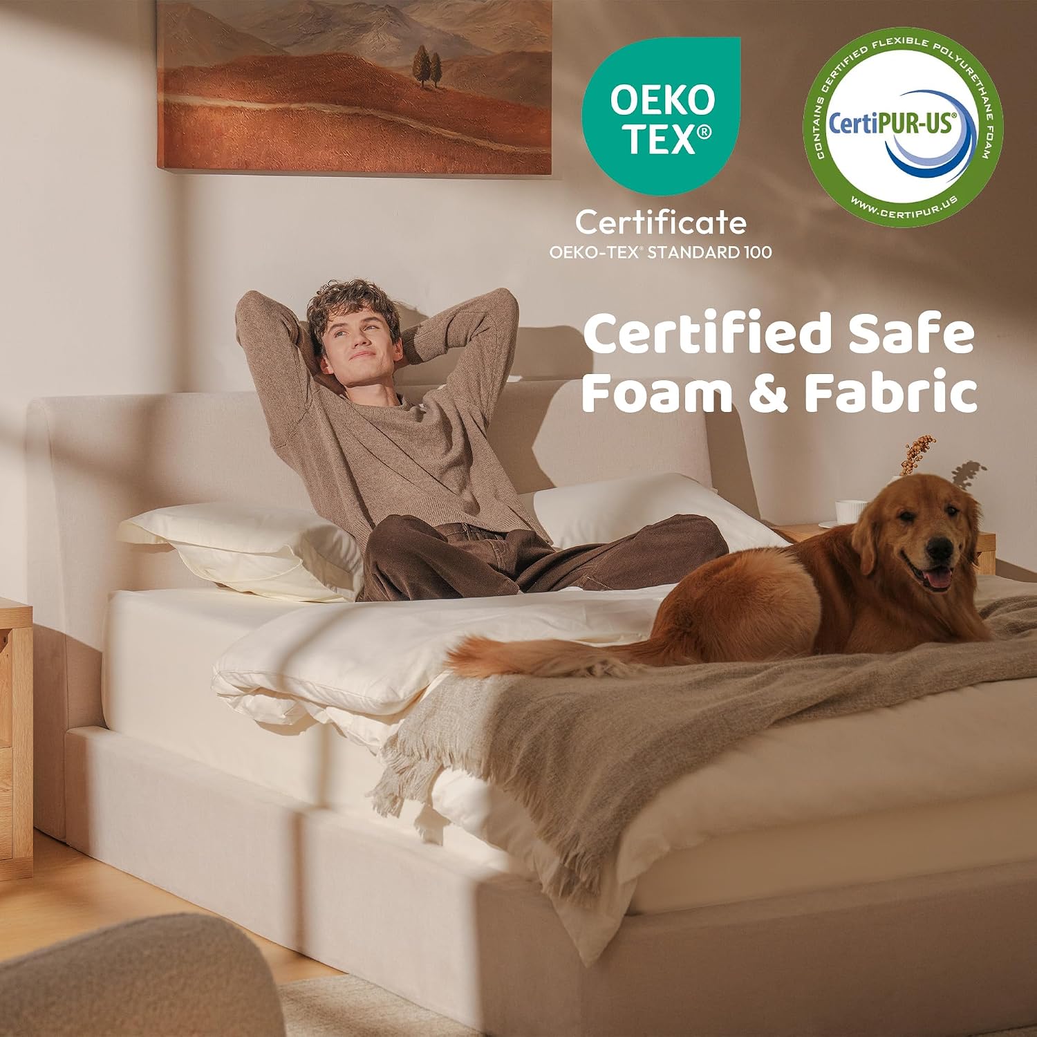 RECCI AirFrame Queen Bed Frame with Ergonomic Angled Foam Cushioned Headboard, Minimalist Design Platform Bed Frame, No Box Spring Needed, Easy Assembly (Beige Chenille)