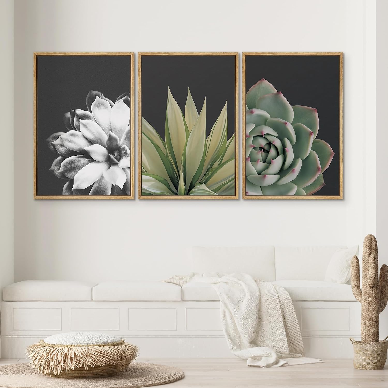 SIGNWIN Framed Wall Art Print Set Echeveria Succulent Variety Nature Plants Photography Modern Art Closeup Relax/Calm Dark Black and White for Living Room, Bedroom, Office - 24'x36'x3 Natural