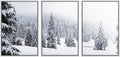 wall26 Framed Canvas Print Wall Art Set Duotone Winter Snow Forest Trees Nature Wilderness Photography Realism Rustic Landscape Colorful Cool for Living Room, Bedroom, Office - 24'x36'x3 White