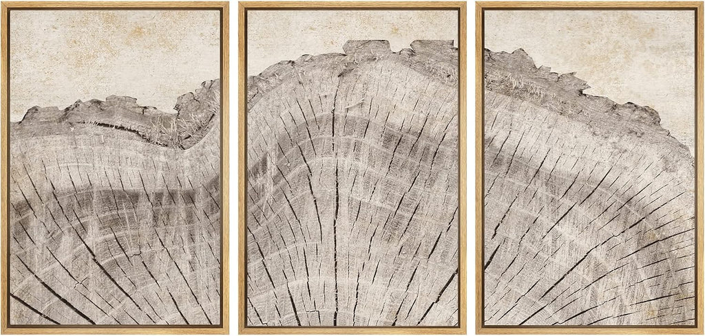 SIGNWIN Framed Canvas Print Wall Art Set Retro Close Up Oak Wood Tree Rings Nature Wilderness Illustrations Modern Art Decorative Farmhouse Zen for Living Room, Bedroom, Office - 24'x36'x3 Natural