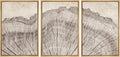 SIGNWIN Framed Canvas Print Wall Art Set Retro Close Up Oak Wood Tree Rings Nature Wilderness Illustrations Modern Art Decorative Farmhouse Zen for Living Room, Bedroom, Office - 24'x36'x3 Natural