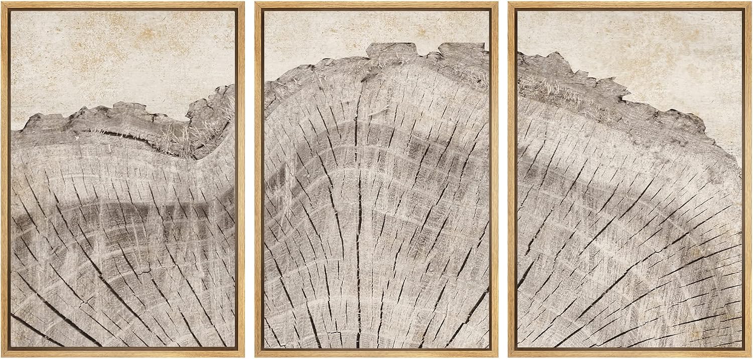 SIGNWIN Framed Canvas Print Wall Art Set Retro Close Up Oak Wood Tree Rings Nature Wilderness Illustrations Modern Art Decorative Farmhouse Zen for Living Room, Bedroom, Office - 24'x36'x3 Natural