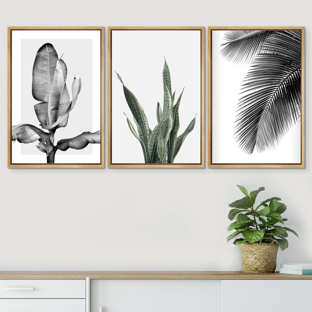 SIGNWIN Framed Canvas Print Wall Art Trio of Jungle Palms & Snake Succulents Floral Plants Photography Modern Art Minimalist Black and White for Living Room, Bedroom, Office - 24'x36'x3 Natural