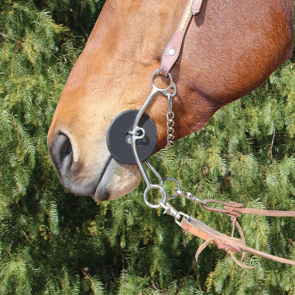 Professional's Choice Lifter Series Horse Bits by Brittany Pozzi with Sweet Taste 5 1/2' Mouthpiece, Equestrian Equipment | Style & Size Options