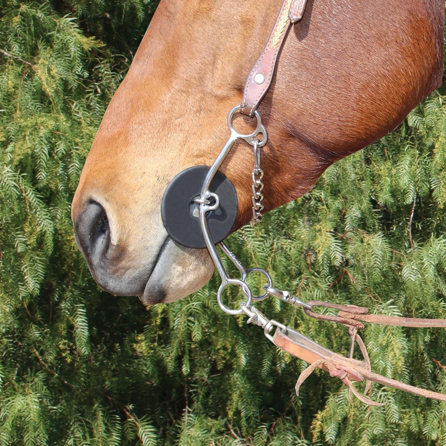 Professional's Choice Lifter Series Horse Bits by Brittany Pozzi with Sweet Taste 5 1/2' Mouthpiece, Equestrian Equipment | Style & Size Options
