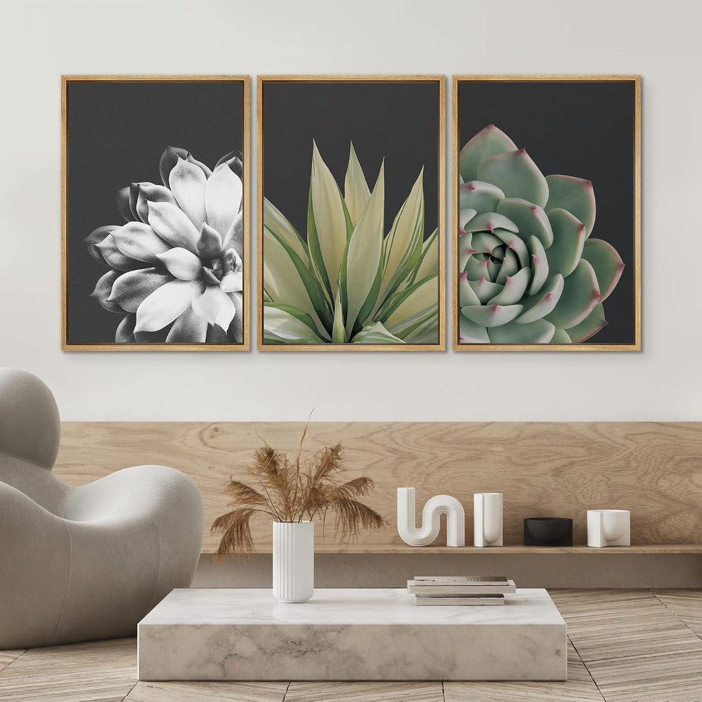SIGNWIN Framed Wall Art Print Set Echeveria Succulent Variety Nature Plants Photography Modern Art Closeup Relax/Calm Dark Black and White for Living Room, Bedroom, Office - 24'x36'x3 Natural