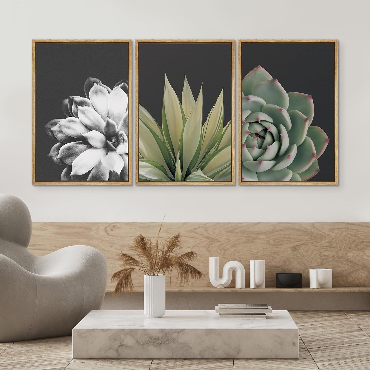 SIGNWIN Framed Wall Art Print Set Echeveria Succulent Variety Nature Plants Photography Modern Art Closeup Relax/Calm Dark Black and White for Living Room, Bedroom, Office - 24'x36'x3 Natural