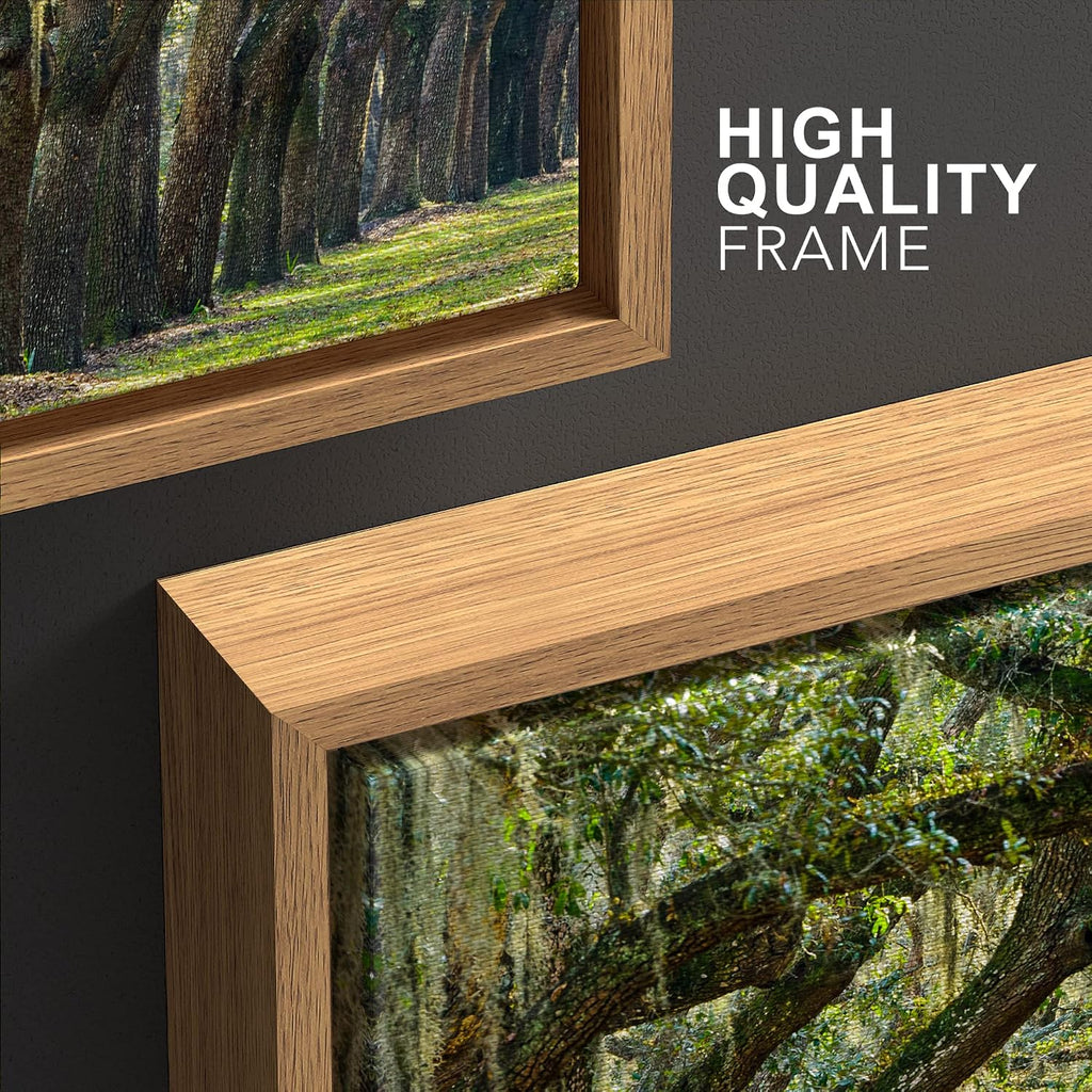 wall26 Framed Canvas Print Wall Art Set Path Through The Hanging Tree Archway Nature Wilderness Photography Realism Contemporary Colorful Ultra for Living Room, Bedroom, Office - 24'x36'x3 Natural