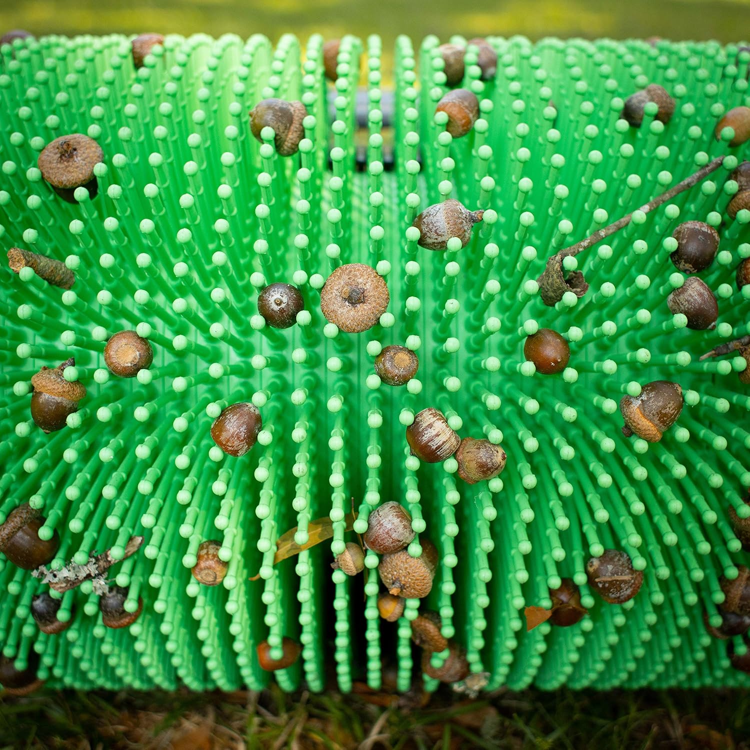 Bag-A-Nut 12' Push Large Acorn Harvester - Nut Picker Upper - (for Nuts 3/8' to 1 1/4') (A5010) - Weight Brackets Included