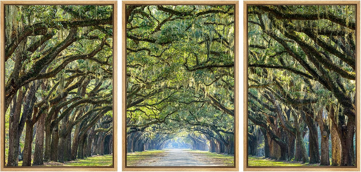 wall26 Framed Canvas Print Wall Art Set Path Through The Hanging Tree Archway Nature Wilderness Photography Realism Contemporary Colorful Ultra for Living Room, Bedroom, Office - 24'x36'x3 Natural