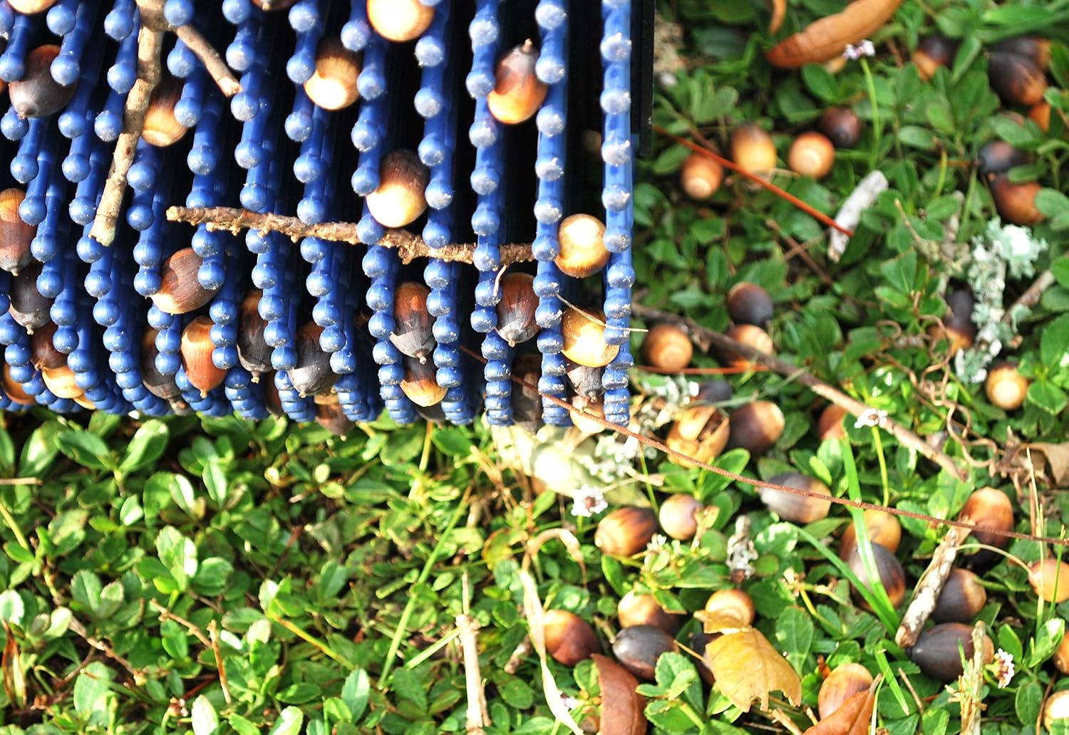 Bag-A-Nut 12' Push Small Acorn Harvester - Nut Picker Upper - (for Nuts 1/4' to 1') (A5012) - Weight Brackets Included