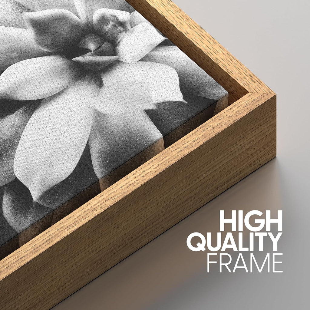 SIGNWIN Framed Wall Art Print Set Echeveria Succulent Variety Nature Plants Photography Modern Art Closeup Relax/Calm Dark Black and White for Living Room, Bedroom, Office - 24'x36'x3 Natural