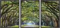 wall26 Framed Canvas Print Wall Art Set Path Through The Hanging Tree Archway Nature Wilderness Photography Realism Contemporary Colorful Ultra for Living Room, Bedroom, Office - 16'x24'x3 Black