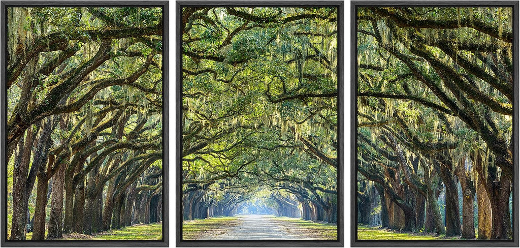 wall26 Framed Canvas Print Wall Art Set Path Through The Hanging Tree Archway Nature Wilderness Photography Realism Contemporary Colorful Ultra for Living Room, Bedroom, Office - 24'x36'x3 Black