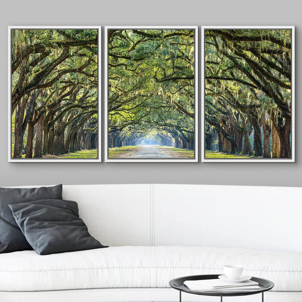wall26 Framed Canvas Print Wall Art Set Path Through The Hanging Tree Archway Nature Wilderness Photography Realism Contemporary Colorful Ultra for Living Room, Bedroom, Office - 24'x36'x3 White