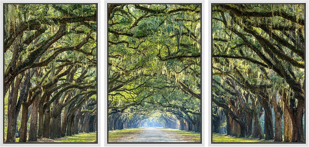 wall26 Framed Canvas Print Wall Art Set Path Through The Hanging Tree Archway Nature Wilderness Photography Realism Contemporary Colorful Ultra for Living Room, Bedroom, Office - 24'x36'x3 White