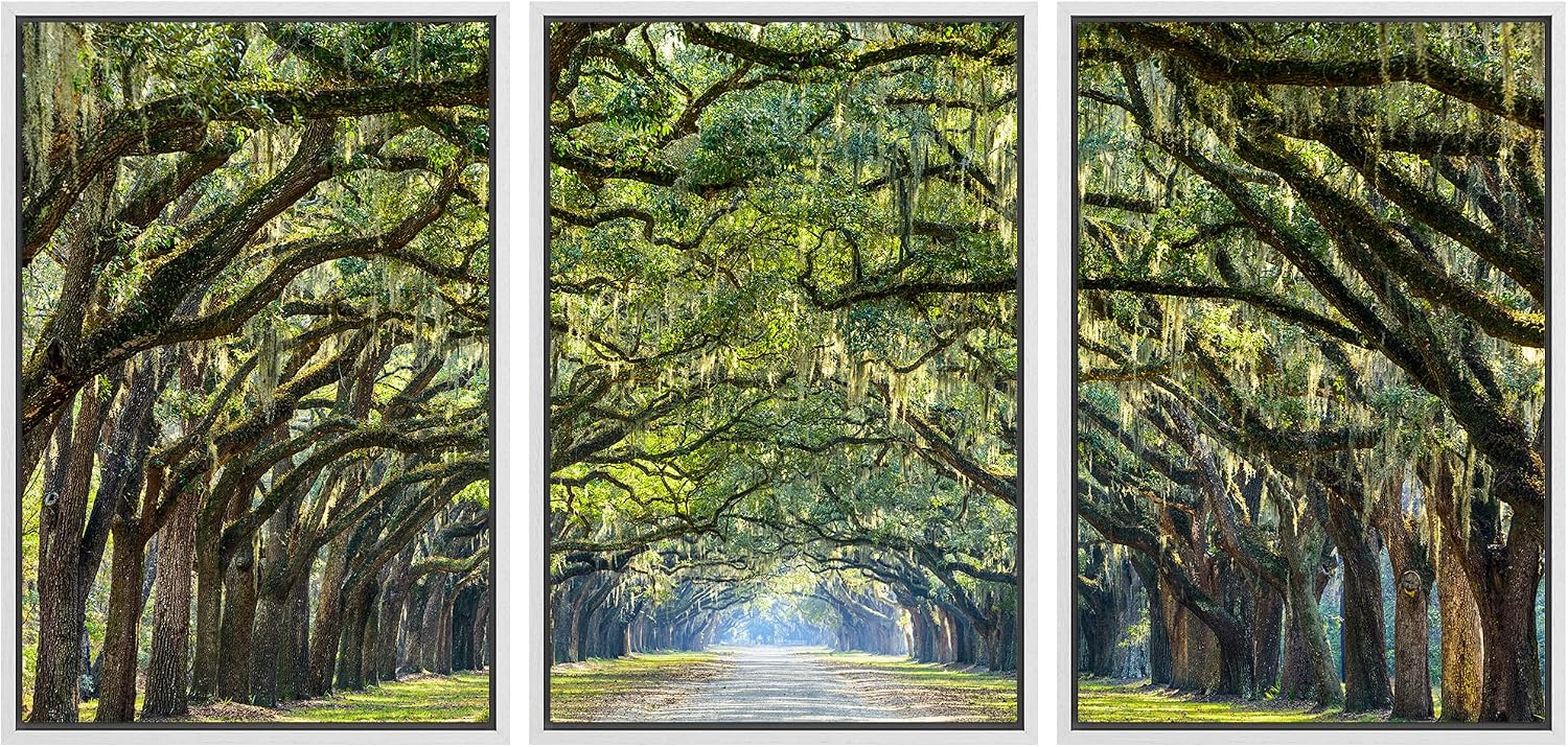 wall26 Framed Canvas Print Wall Art Set Path Through The Hanging Tree Archway Nature Wilderness Photography Realism Contemporary Colorful Ultra for Living Room, Bedroom, Office - 24'x36'x3 White